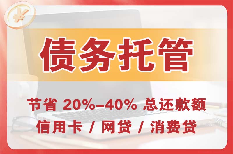新市区债务托管